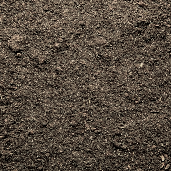 SandTech Pjeskarenje Carović Stolice Prije